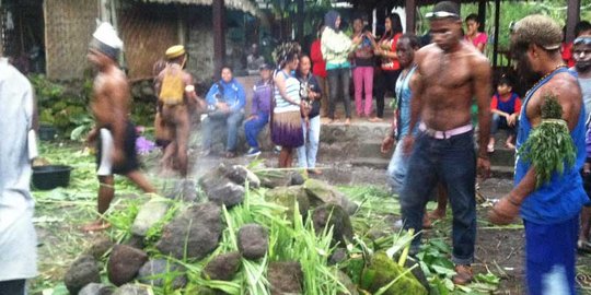 Ratusan mahasiswa Papua gelar upacara bakar batu di lereng Merapi