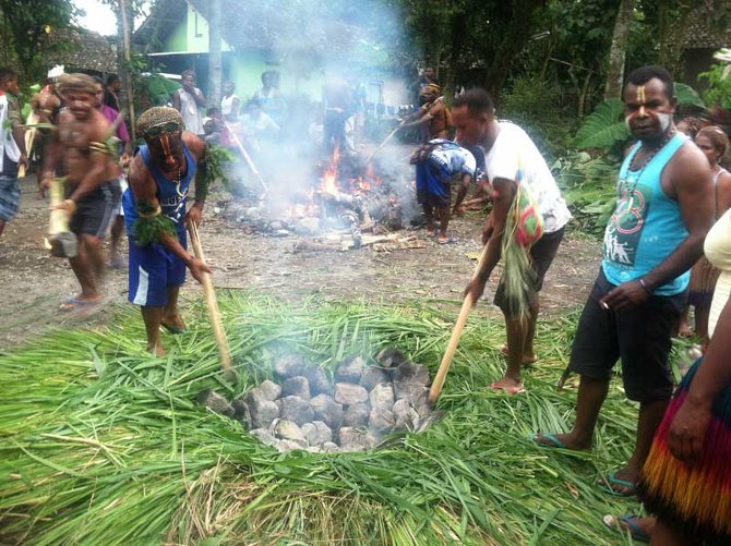 mahasiswa papua bakar batu di lereng merapi