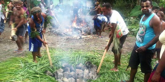 Tradisi bakar batu oleh mahasiswa Papua di Lereng Merapi