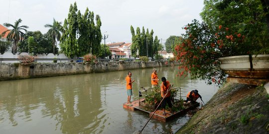 Melihat perawatan tanaman hias di tepi sungai Pasar Baru