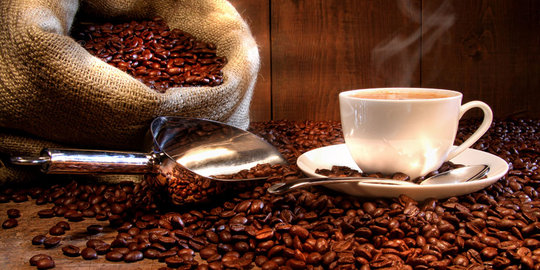 Indonesia surga kopi dunia, BPS sebut kopi Luwak libas Starbucks