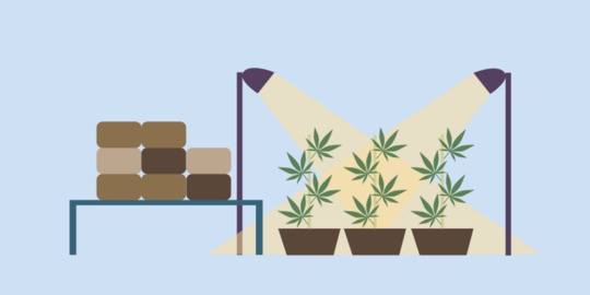 tak disukai binatang rev1