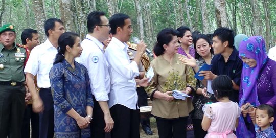 Jokowi bagikan 5.000 KIS & KIP di kebun karet PTPN III Deli Serdang