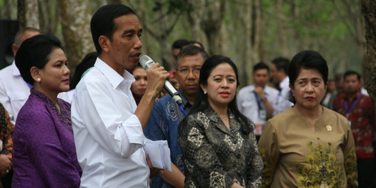 Pemerintahan Jokowi-JK dinilai tak akan lama, kayak Mega & Gus Dur