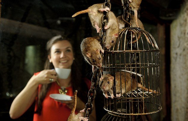 rat cafe di london dungeon inggris