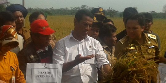 Mentan: Panen padi di daerah meningkat 20-50 persen