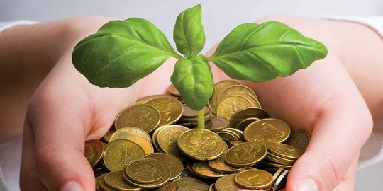 Genjot investasi hijau, pemerintah siapkan insentif bunga perbankan