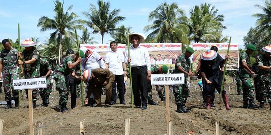 Mentan Amran tanam kedelai di Pulau Bacan