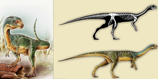 Bersaudara dengan T-Rex, dinosaurus ini ternyata vegetarian