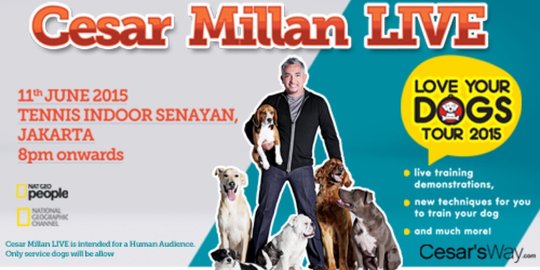Jadilah bagian dari Cesar Milan LIVE: Love Your Dog Tour Show 2015