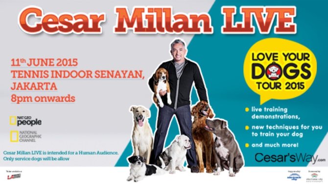 cesar milan live love your dog tour show 2015