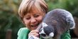 Hewan ini lengket main di pundak Angela Merkel