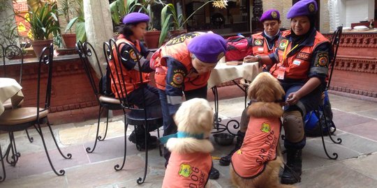 Anjing super Indonesia bantu cari korban di Nepal