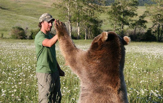 casey anderson