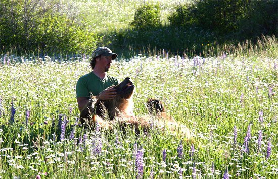 casey anderson