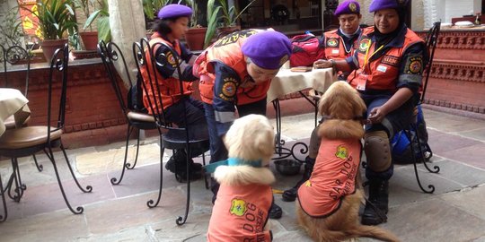 Ikut bantu Nepal, keahlian tim anjing super Indonesia ungguli Israel