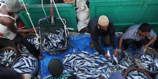 Menteri Susi: Laut dan ikan Indonesia cuma tersisa di wilayah timur