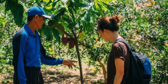 Produsen cokelat lokal bermisi sosial terima investasi 