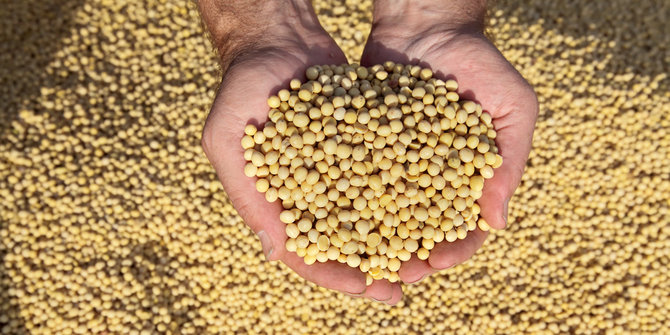 KELANGKAAN KEDELAI PDF