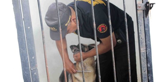 Polisi ini urus anjing pelacak seperti keluarga