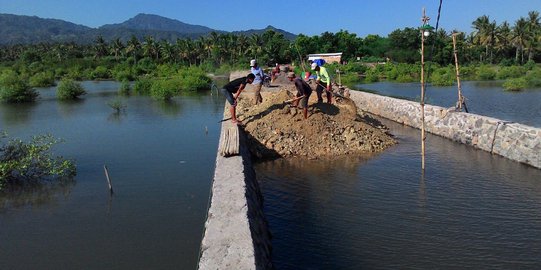 Ribut soal Teluk Benoa, reklamasi di Bali Utara dilakukan diam-diam