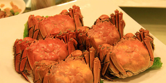 palsu