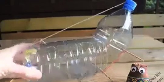 Perangkap Tikus Murah Dan Mudah Pakai Botol Air Mineral Merdeka Com