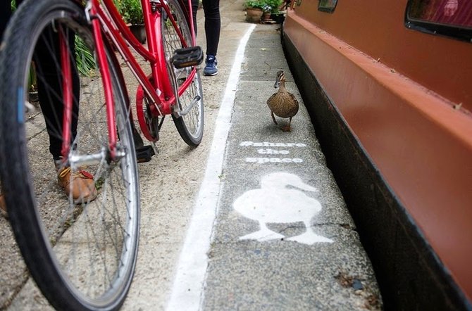 duck lanes di inggris