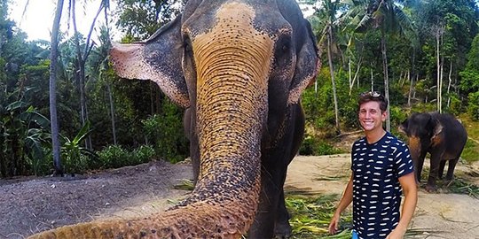 Curi kamera GoPro, gajah ini juga bisa berfoto selfie