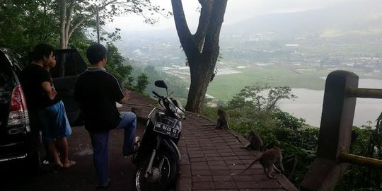 Keindahan Danau Tamblingan dan satwa kera liar jinak di Bali