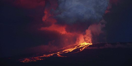 Semburan dahsyat lava Gunung Wolf ancam hewan langka Galapagos