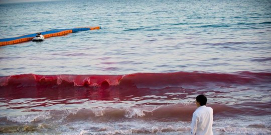 darah di pantai selatan china rev2