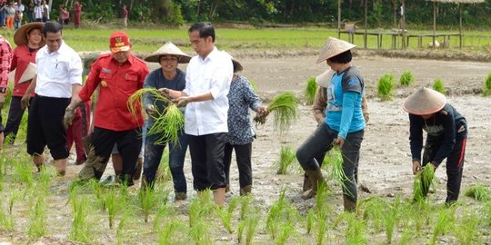 Presiden Jokowi janji tambah anggaran pertanian biar tidak deg-degan