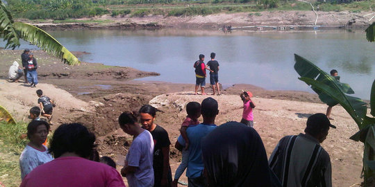 Penyebab kemunculan belasan buaya di Kali Porong terungkap