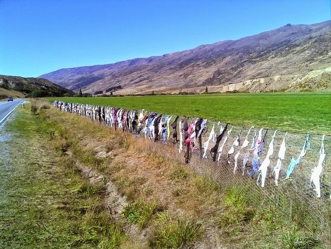 cardrona bra fence