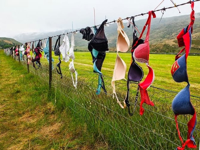 cardrona bra fence
