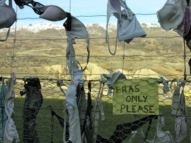 cardrona bra fence