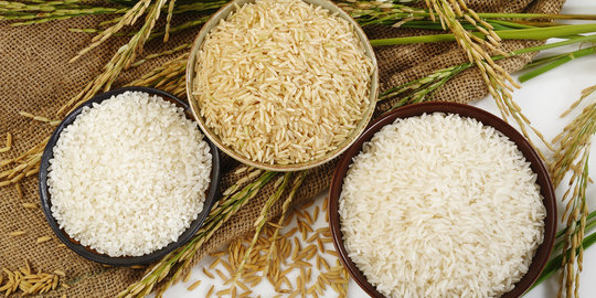 Aceh aman beras sintetis, cukup hingga Oktober