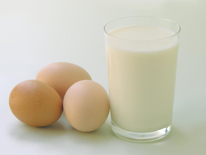 ilustrasi susu dan telur