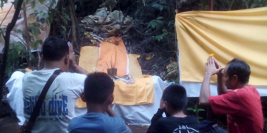 Heboh jamur raksasa di Bali, dikeramatkan dan disakralkan