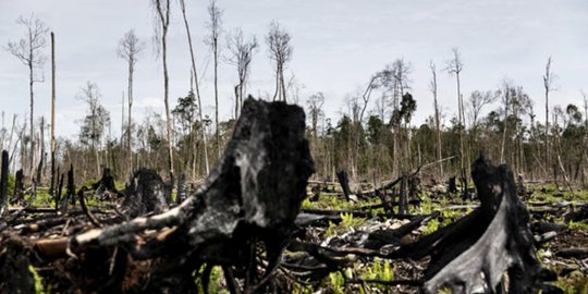 Korupsi dianggap biang keladi kerusakan lingkungan Indonesia