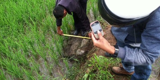 Warga Sleman temukan batu bergambar Bhuta Kala di sawah