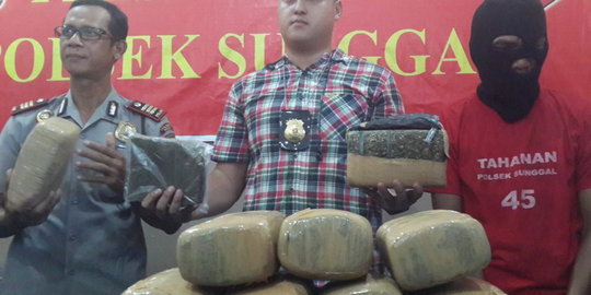 Disamarkan dalam teri medan, pengiriman 4 kg ganja digagalkan