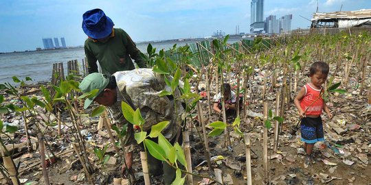 Belajar menanam mangrove di pesisir pantai yang penuh sampah