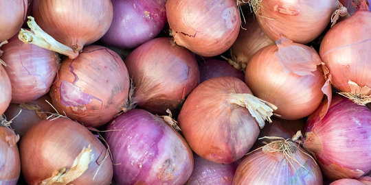 Harga bawang merah melonjak, Kemendag nilai keran impor perlu dibuka