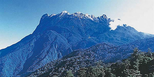 akibat turis bugil di puncak rev1