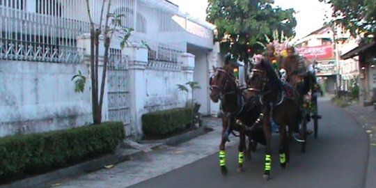 Dua kereta kencana akan bawa Gibran dan Selvi ke pelaminan