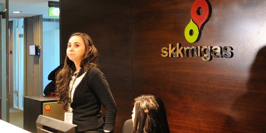 SKK Migas dianggap tak perlu jadi BUMN khusus