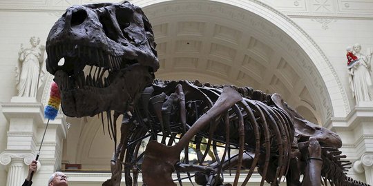 Melihat fosil T-rex usia 67 juta tahun di The Field Museum