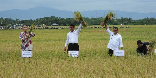 Kualitas pangan rendah, beras yang dikonsumsi penuh bahan kimia